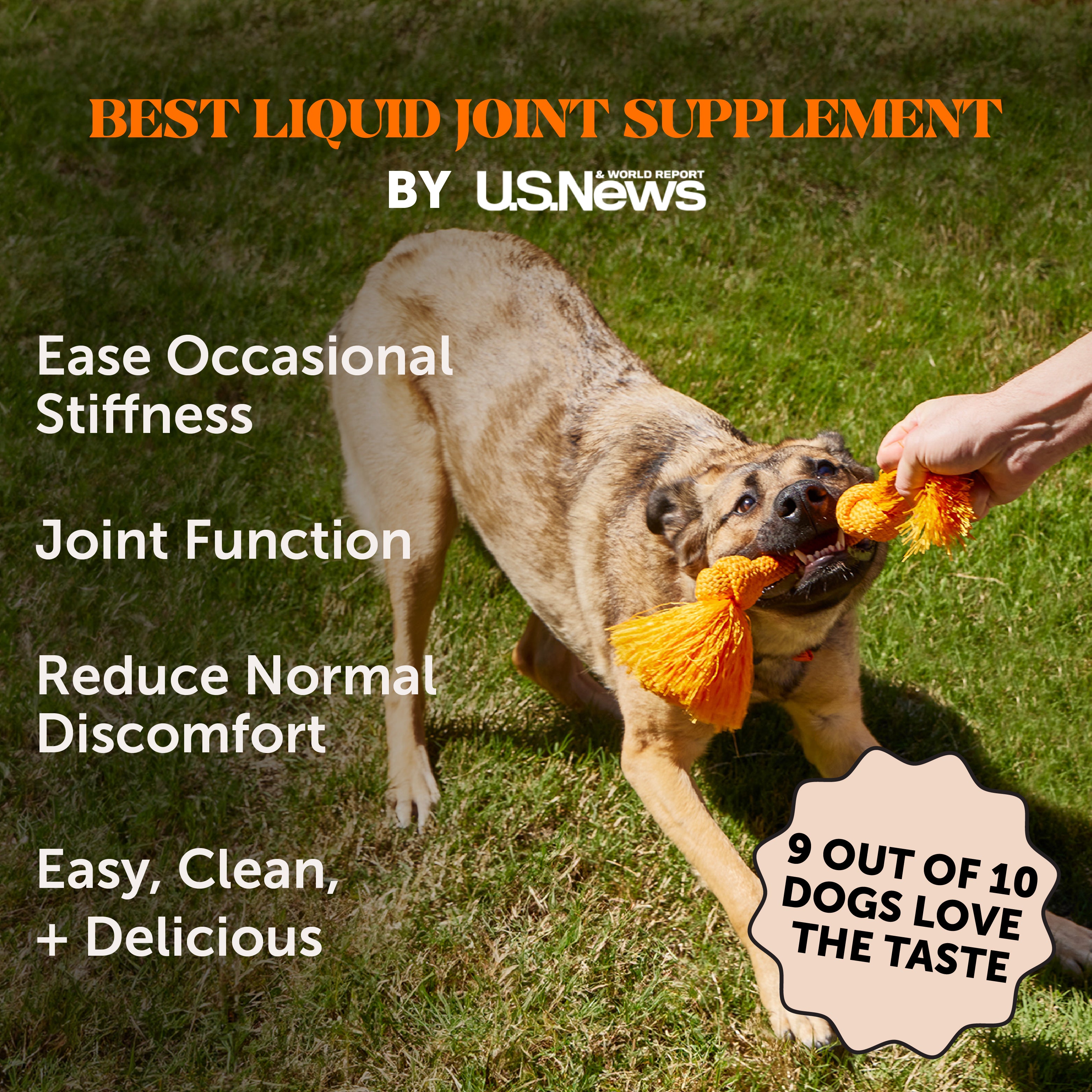 Hip + Joint Liquid Supplement