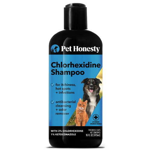 Chlorhexidine Shampoo (16 Ounce)