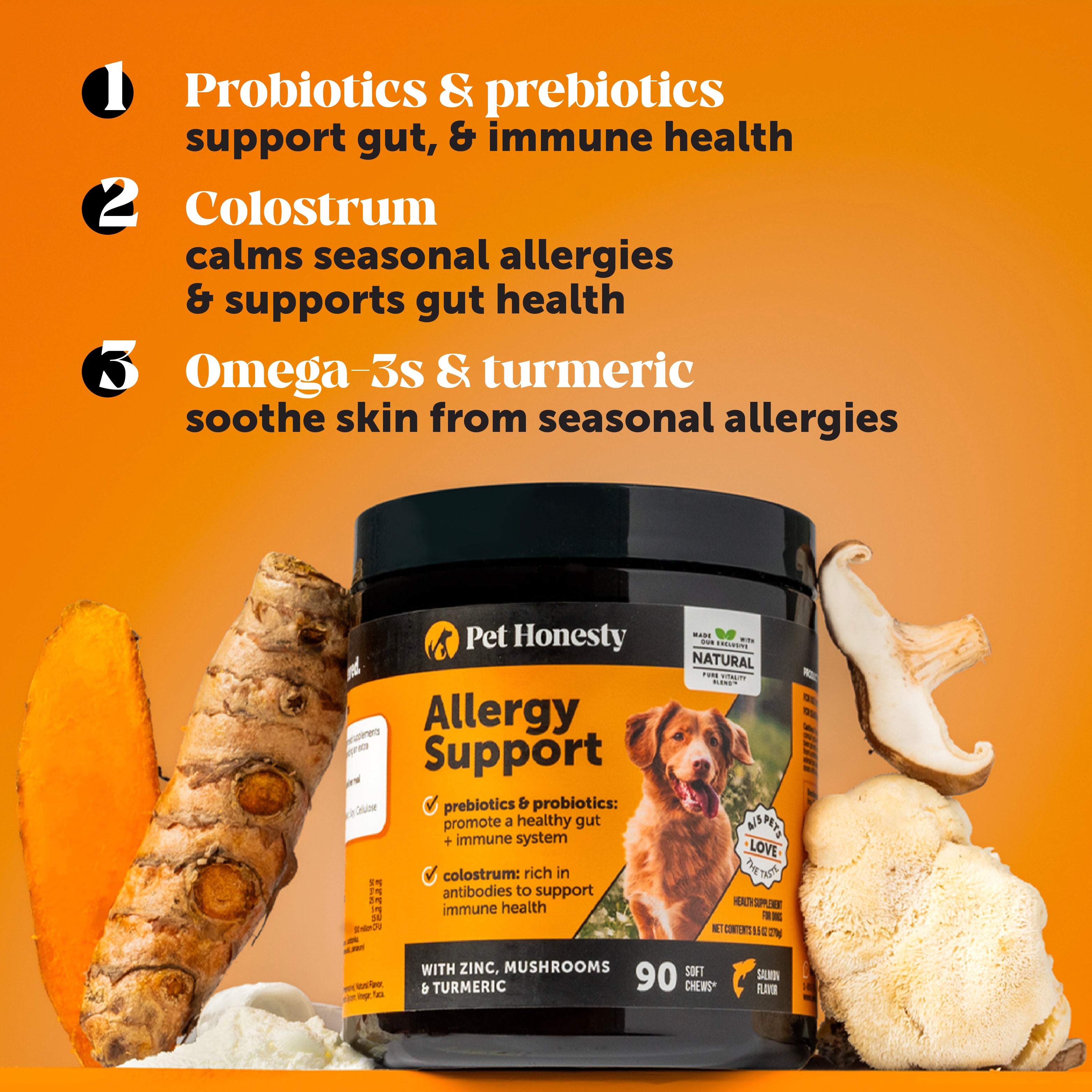 holistic allergy treatment for dogs