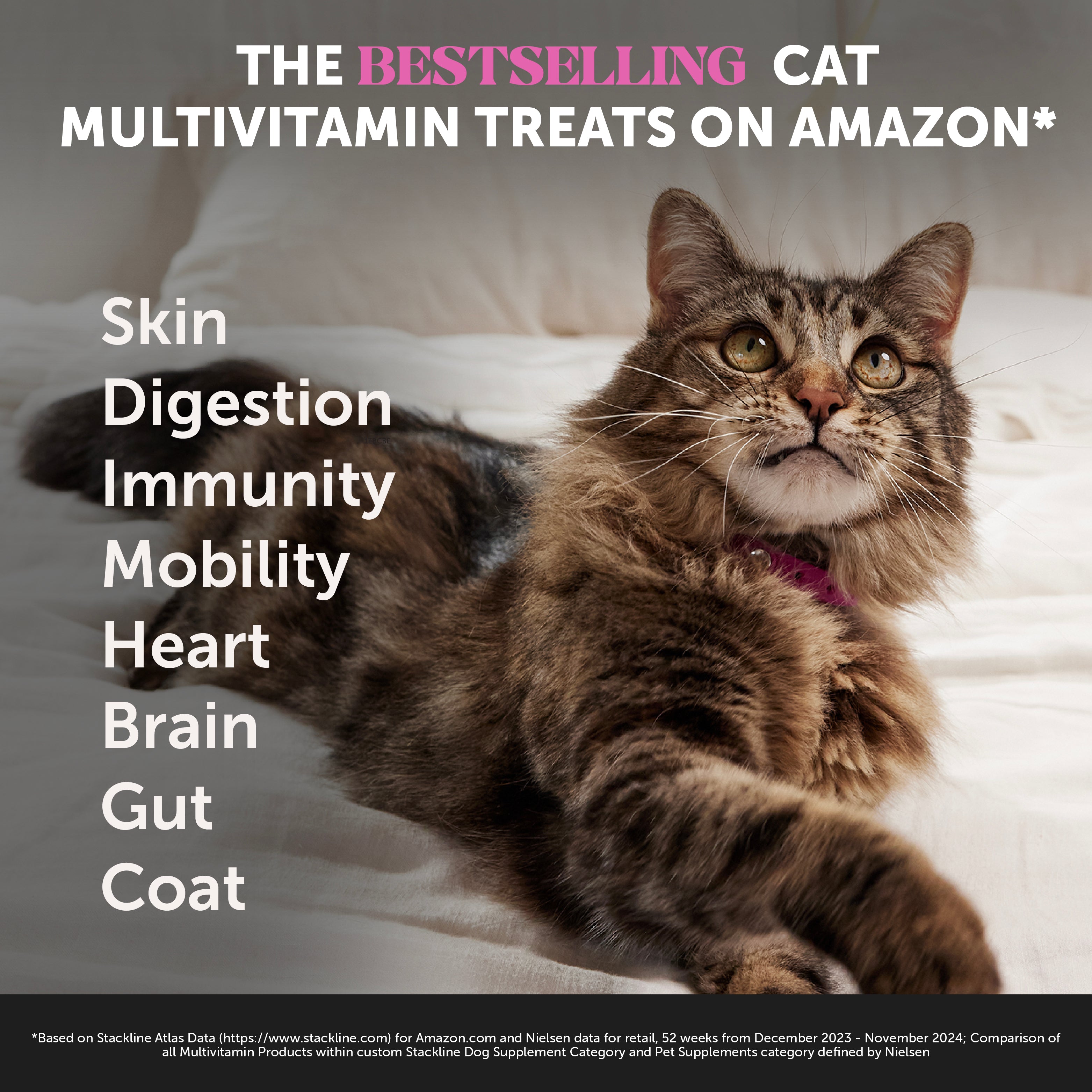 Dual Texture Multivitamin for Cats 2-Pack (Chicken Flavor)