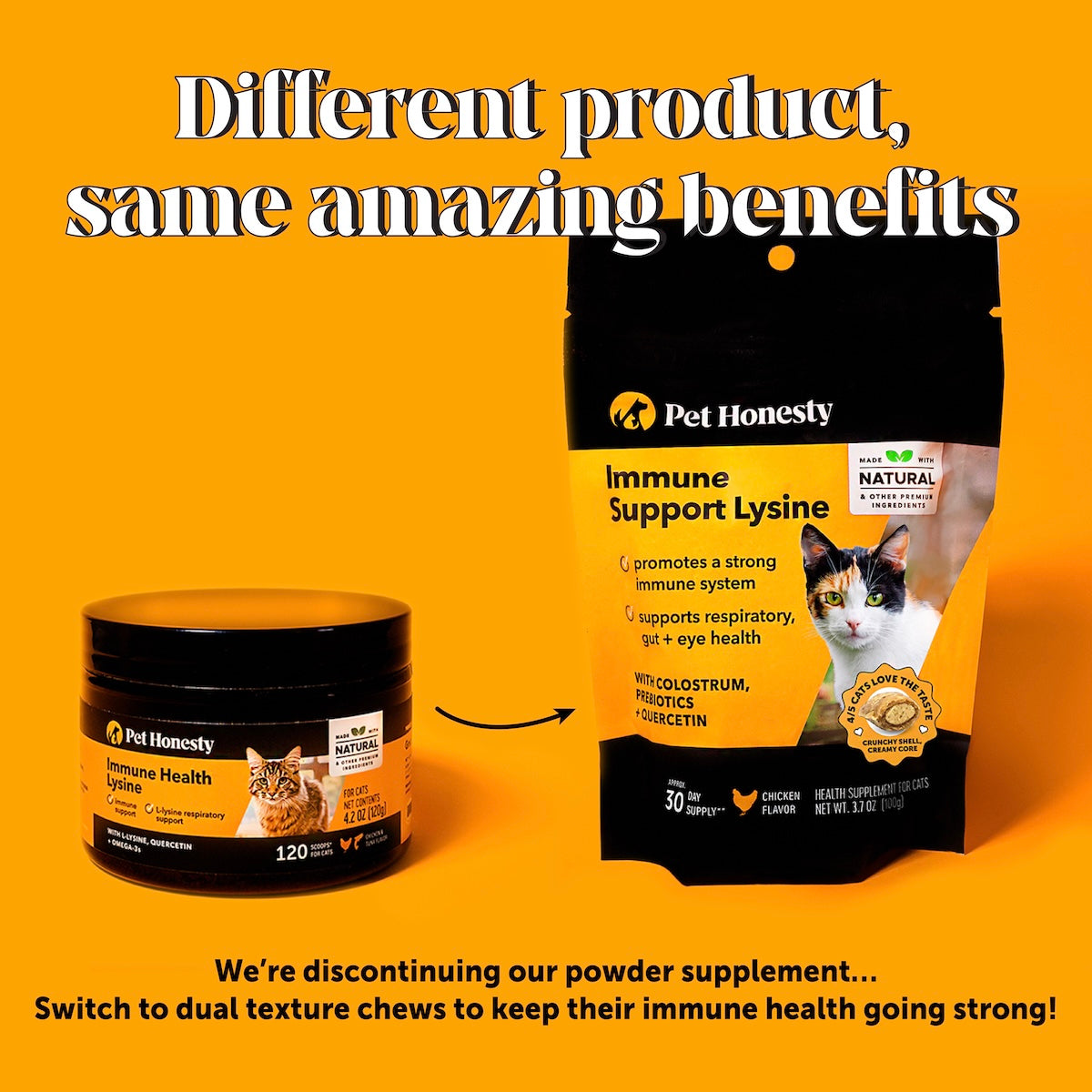Lysine powder for cats 2025