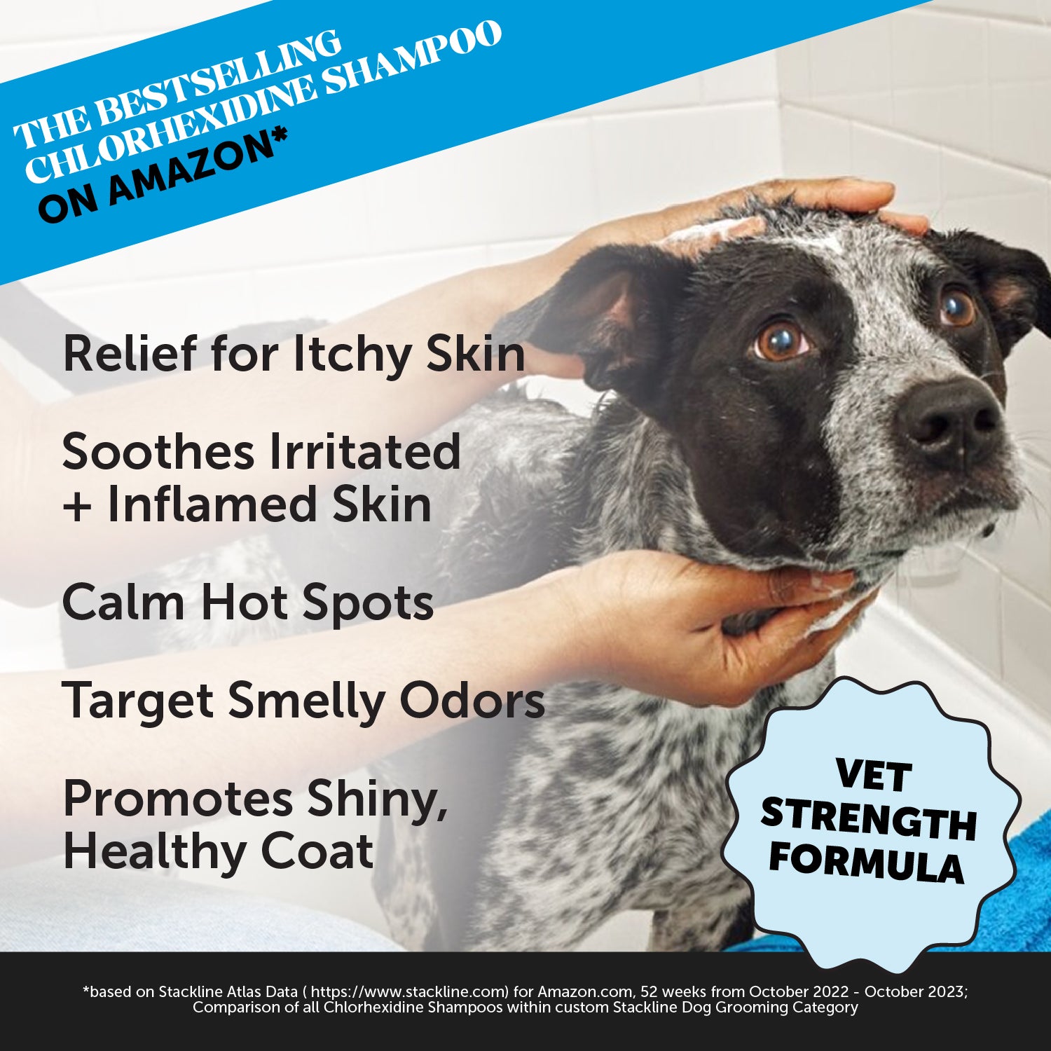 Chlorhexidine Shampoo for Dogs (16 Ounce)