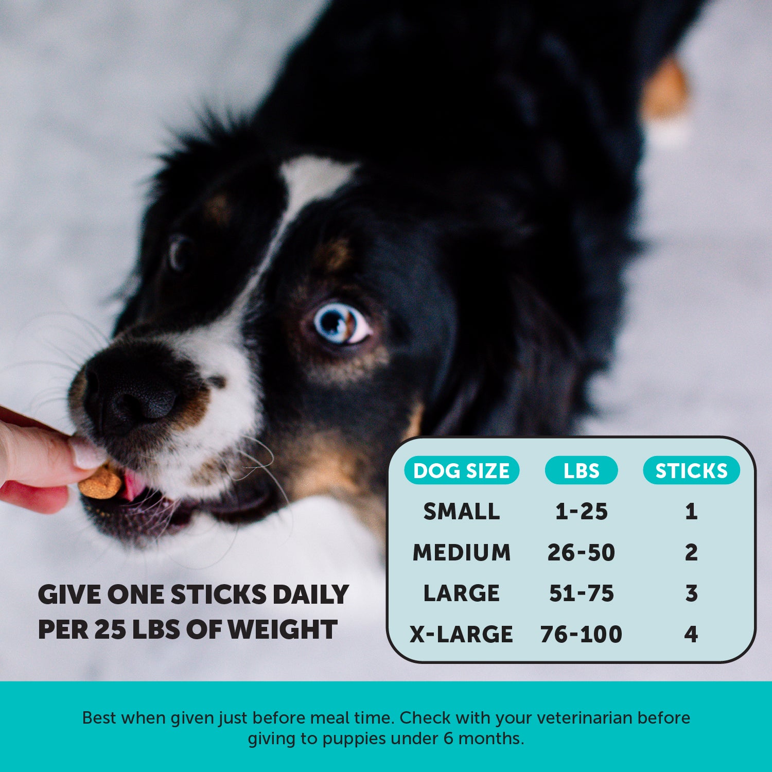 Hemp Calming Fresh Sticks for Dogs (Pumpkin Peanut Butter Flavor)