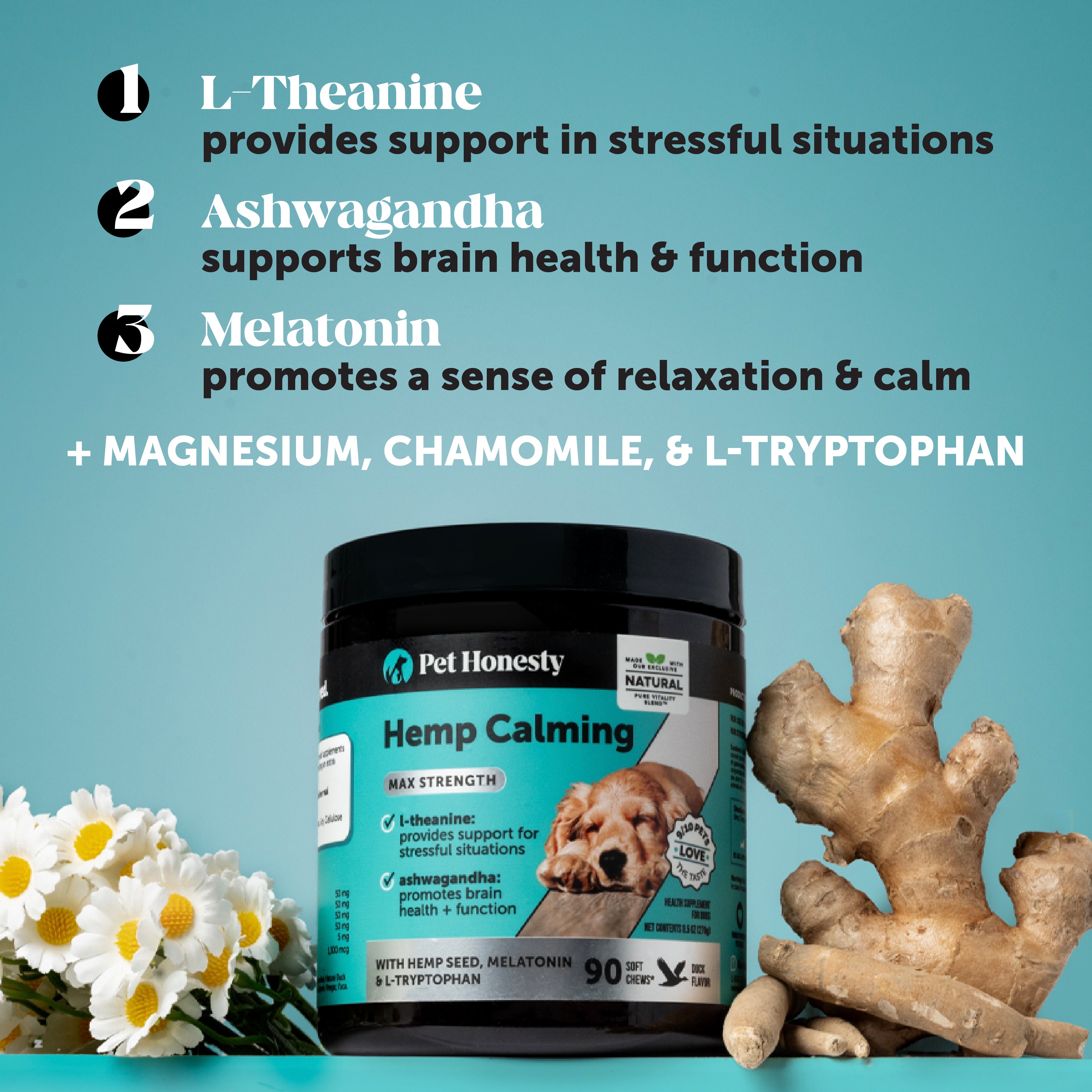 Duck Flavor Max Strength Hemp Calming Chews for Dogs (3 Pack