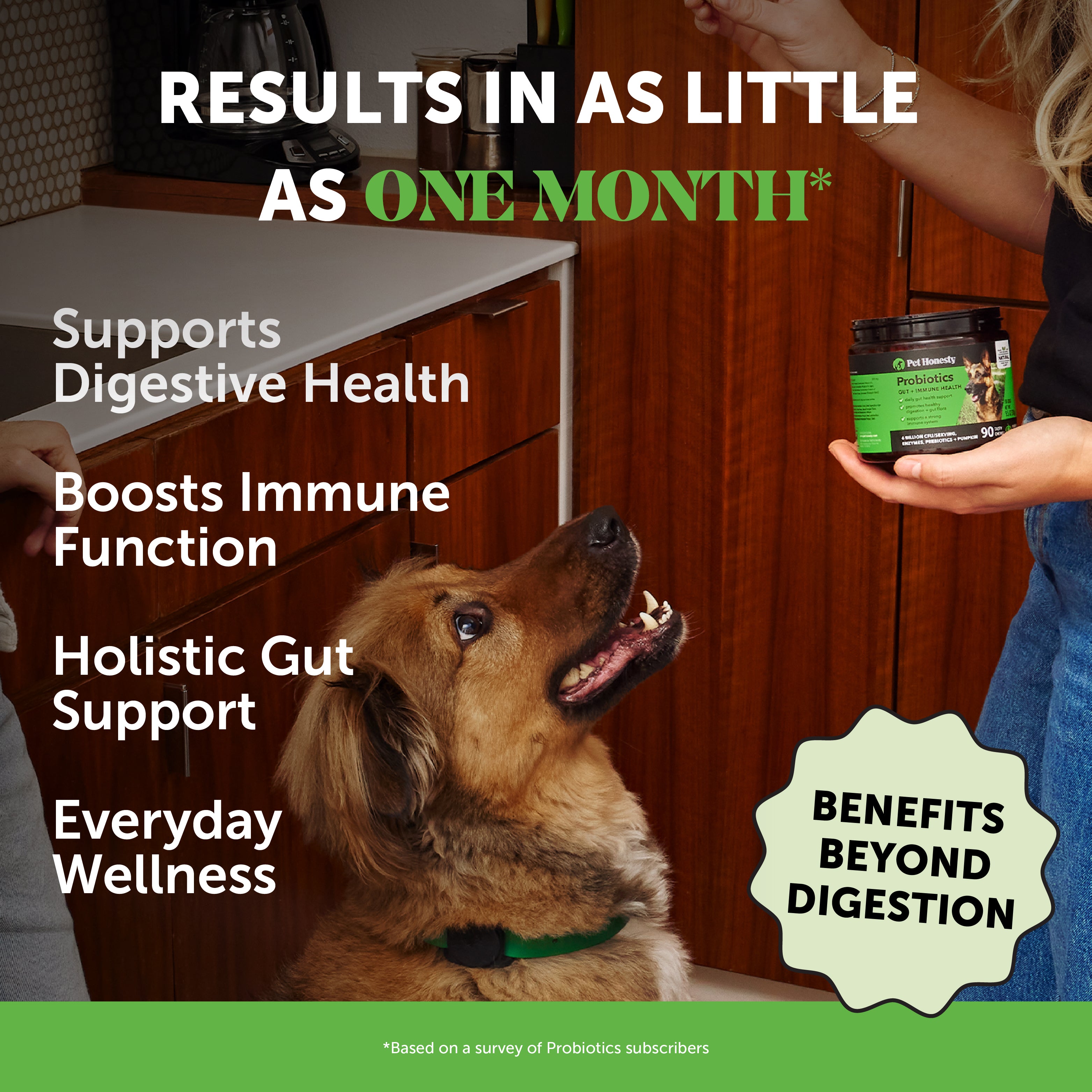 More Birthdays Bundle for Dogs - Dental, Multivitamin, Probiotic