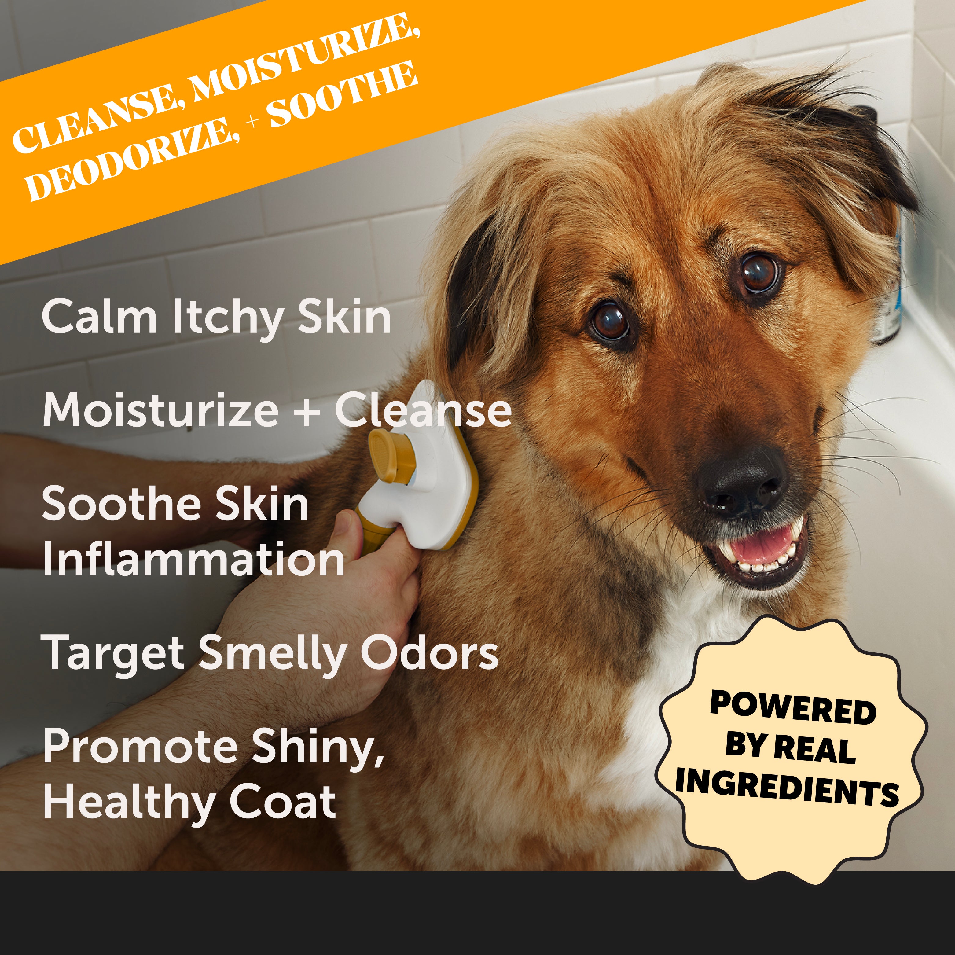 Home Remedies For Dog Itchy Skin Allergy Relief Home Remedies