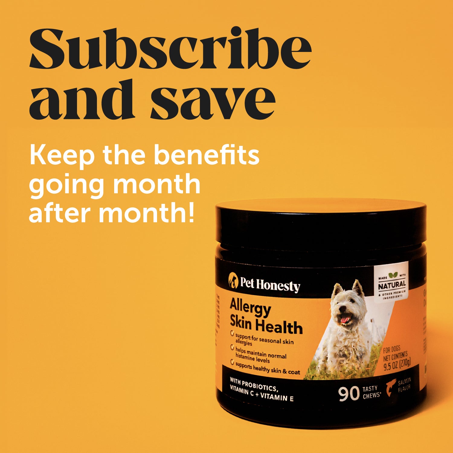 Allergy Skin Health (Salmon Flavor) Single PetHonesty