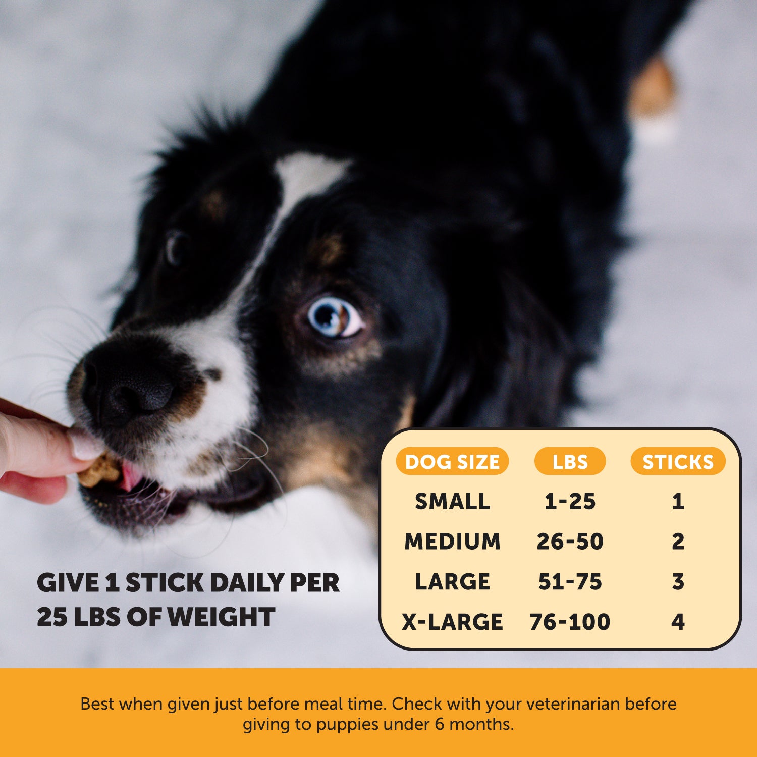 Allergy Support Fresh Sticks (Pumpkin-Peanut Butter Flavor) 3-Pack PetHonesty