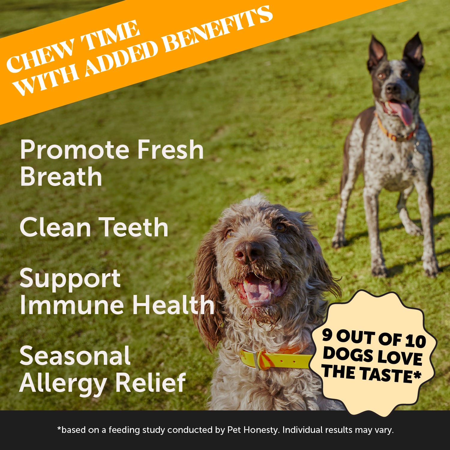 Allergy Support Fresh Sticks 3-Pack (Pumpkin Peanut Butter Flavor)