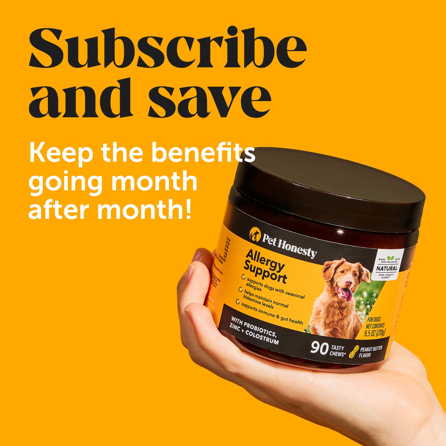 Allergy Support 3-Pack (Peanut Butter Flavor)