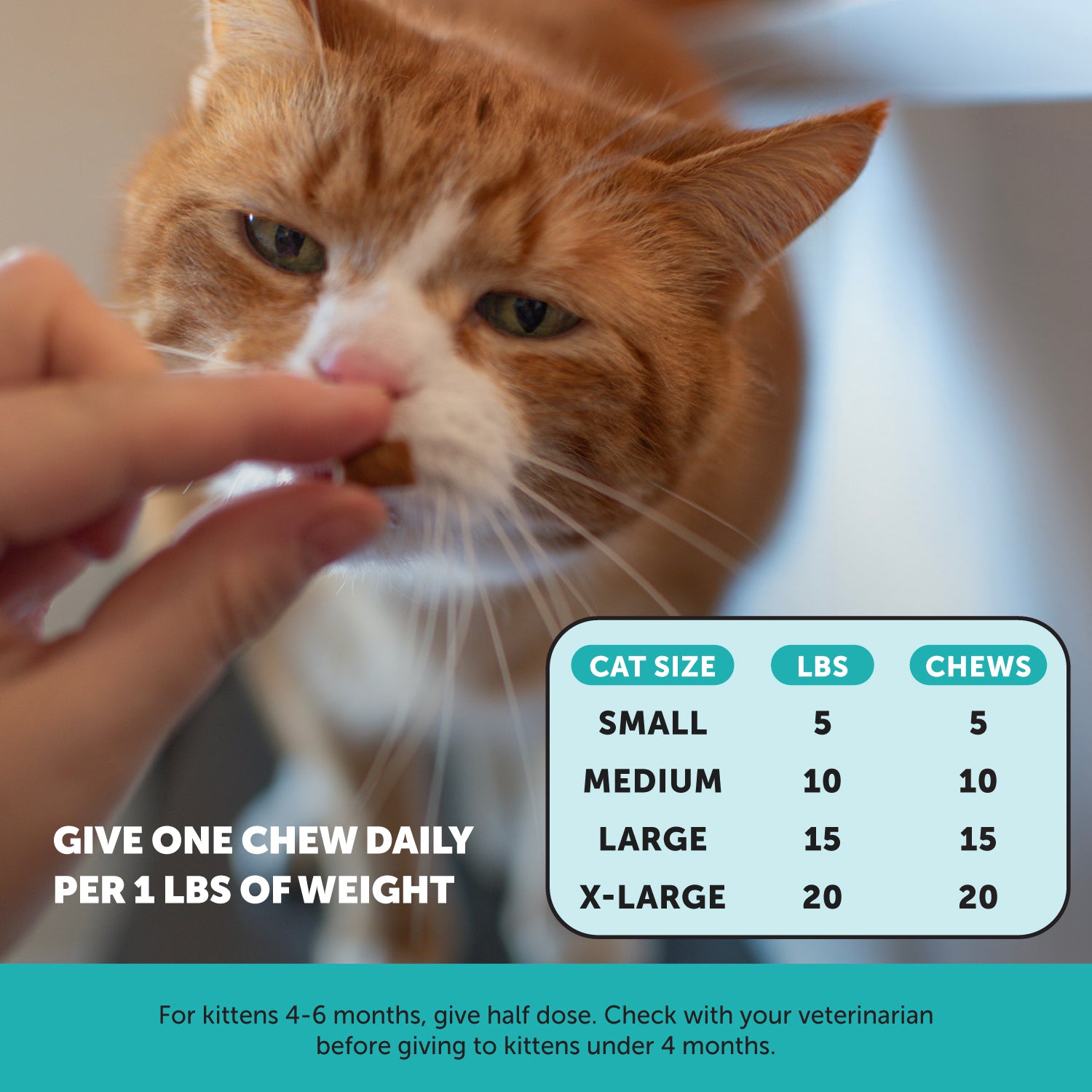 Dual Texture Calming Supplement for Cats 3-Pack (Chicken Flavor)