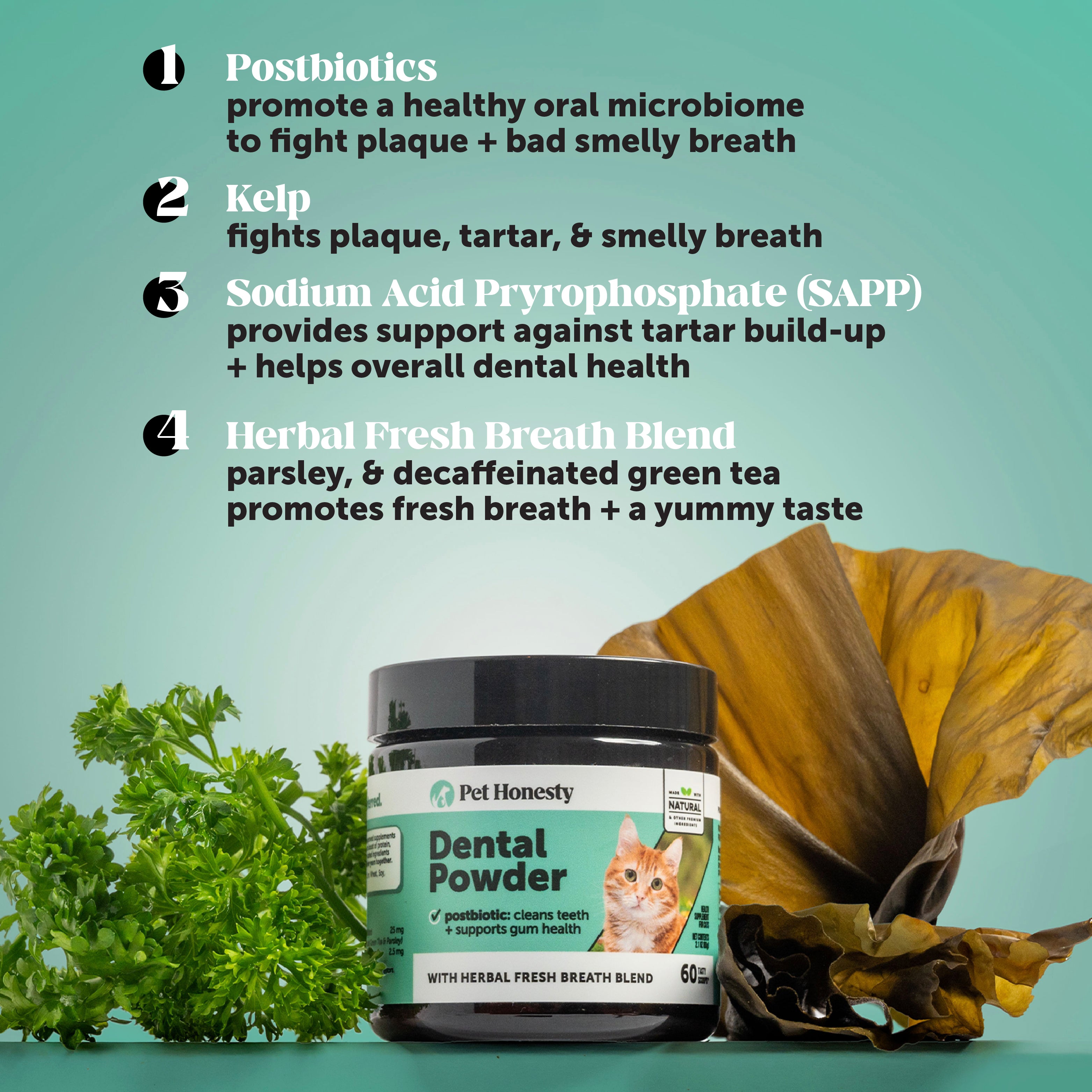 Fresh Breath Dental Powder For Cats | Pet Honesty