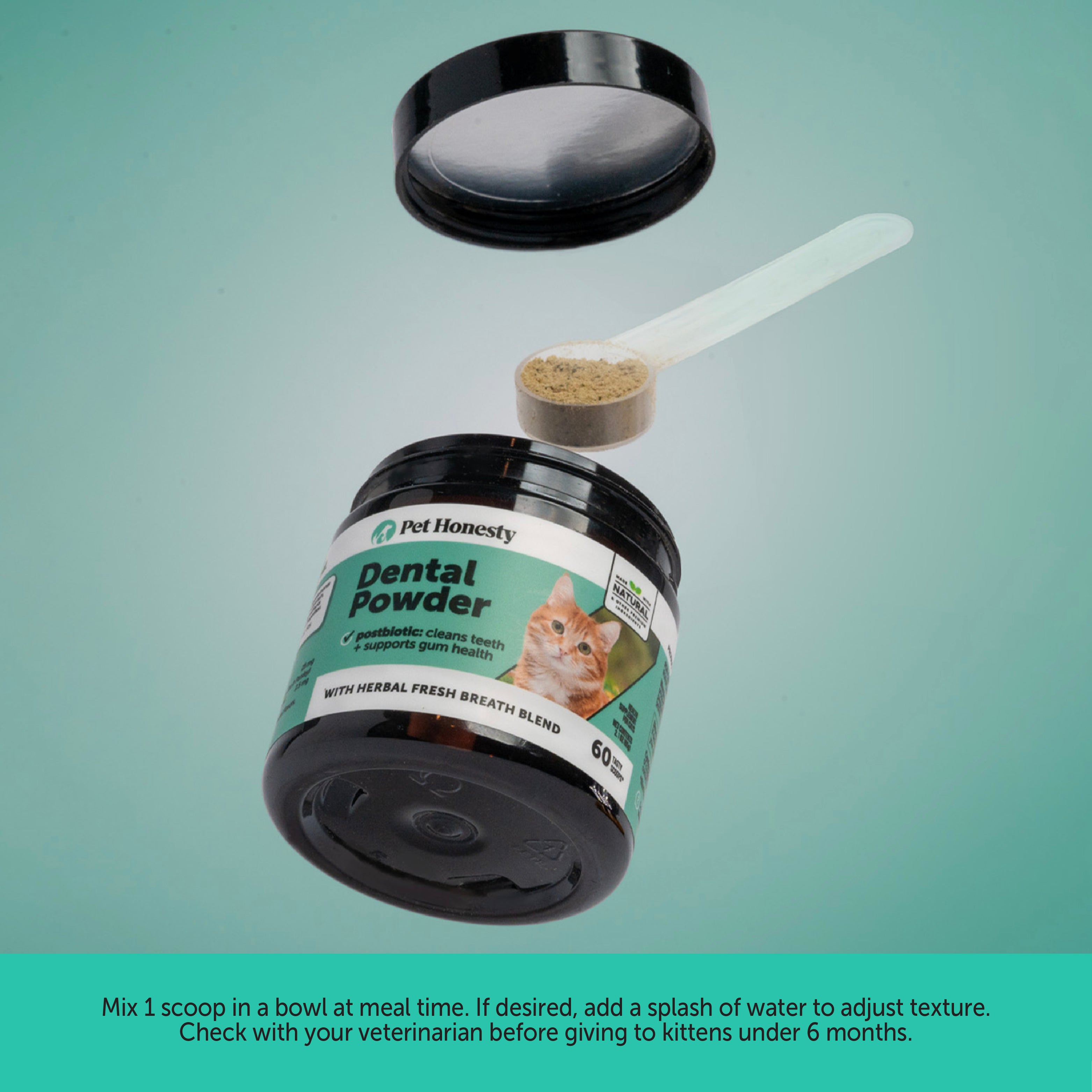 Cat Daily Essentials Bundle