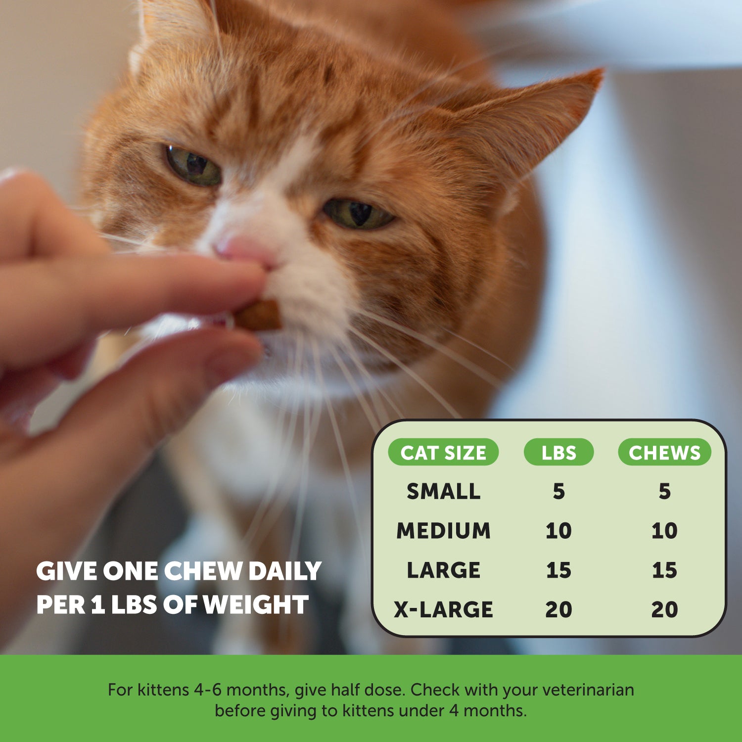 Cat Hairball + Fish Oil Bundle