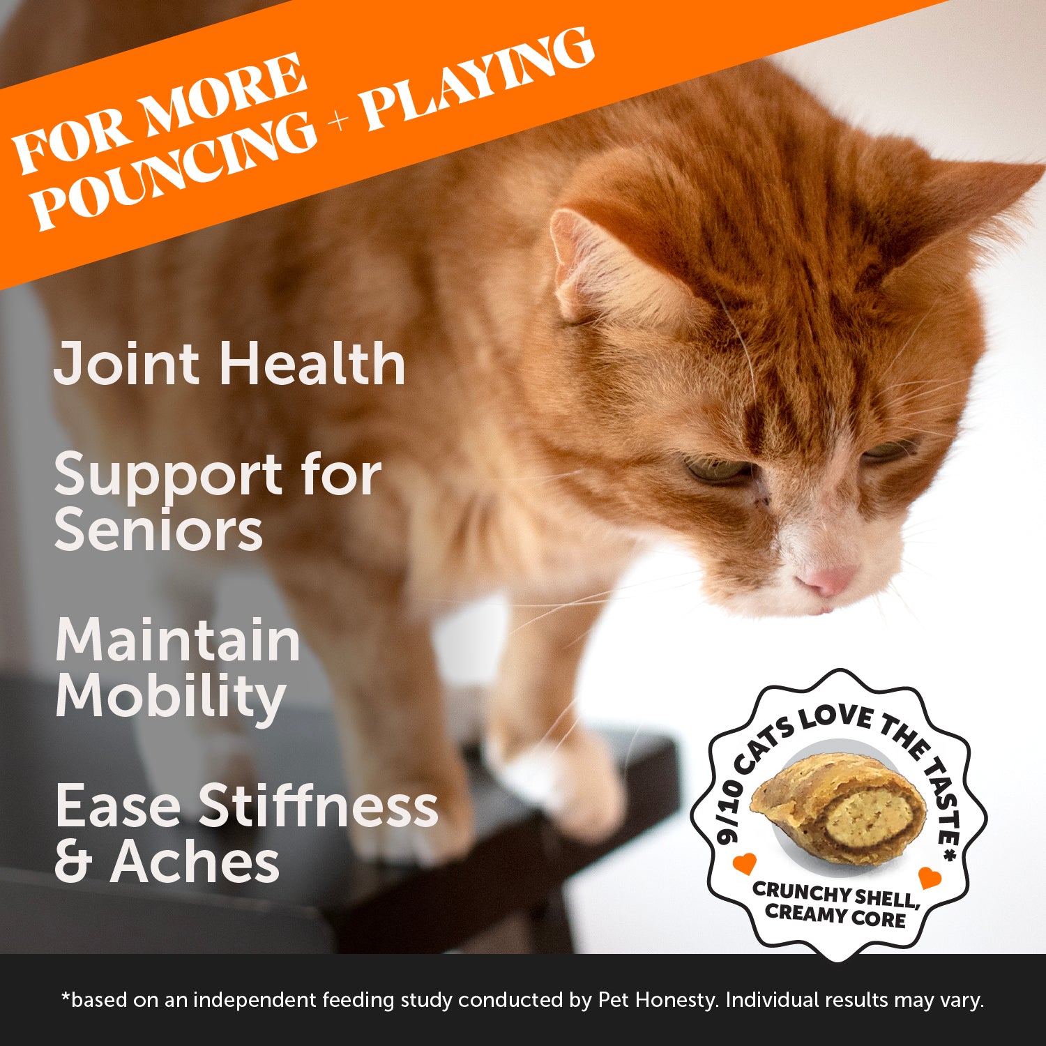 Senior Cat Wellness Bundle