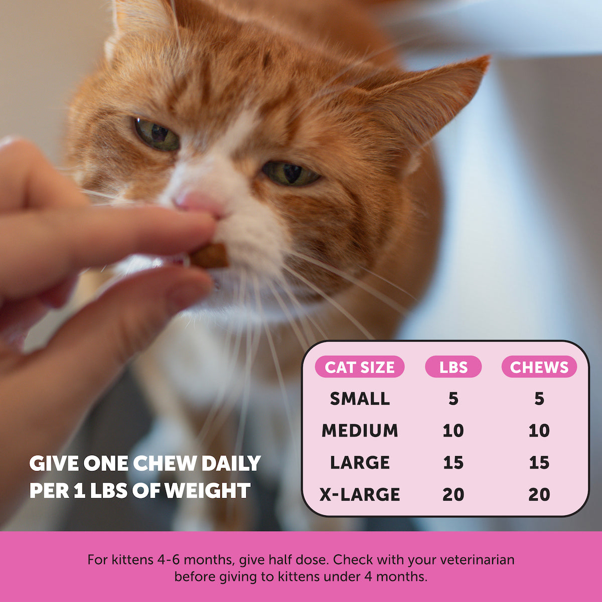 Adult Cat Vitality Bundle