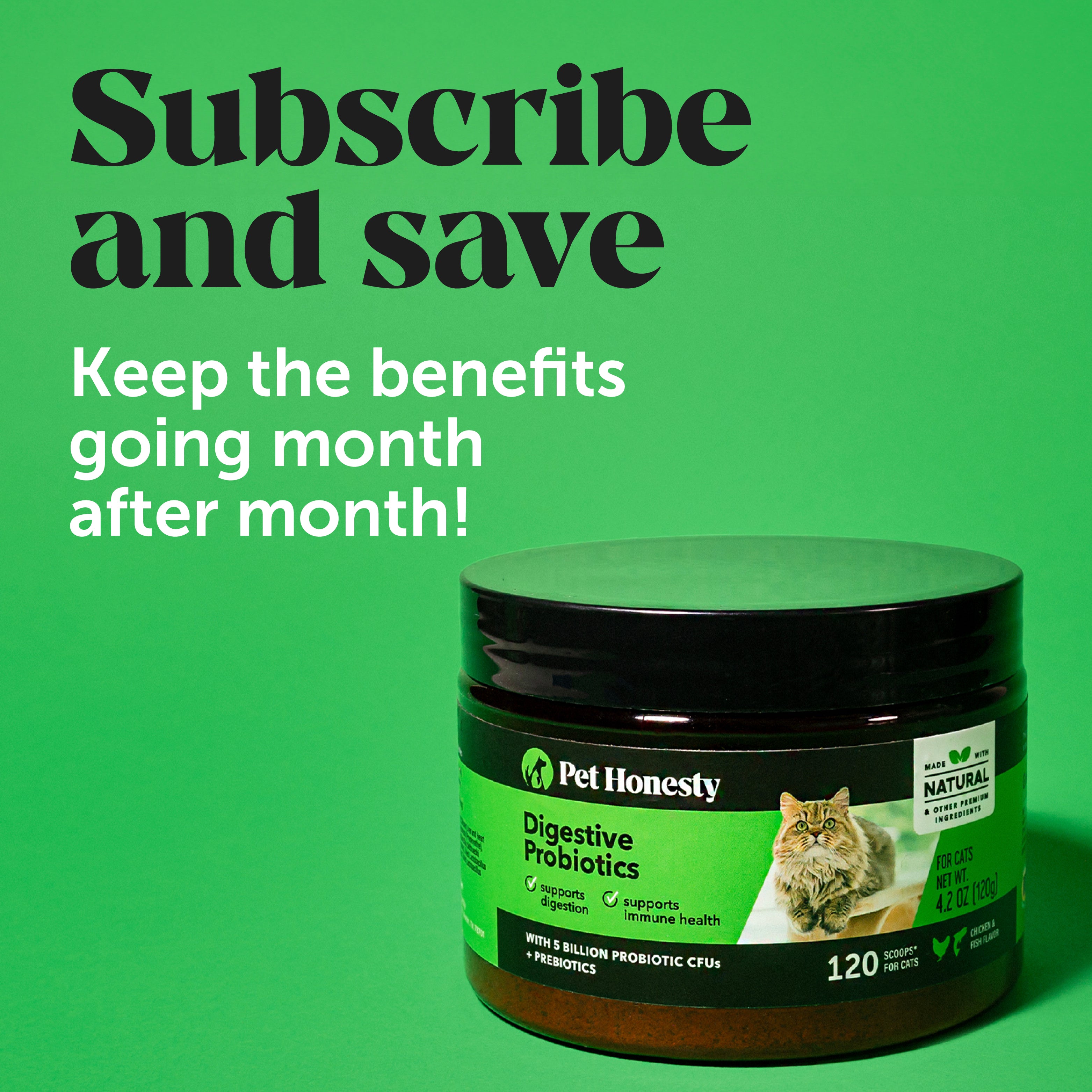 Cat Probiotics Powder 3-Pack PetHonesty
