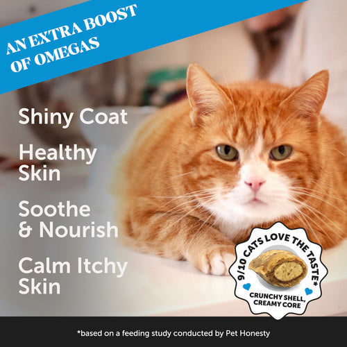 Skin & Coat Health for Cats (2Pack Chicken Flavor) Pet Honesty