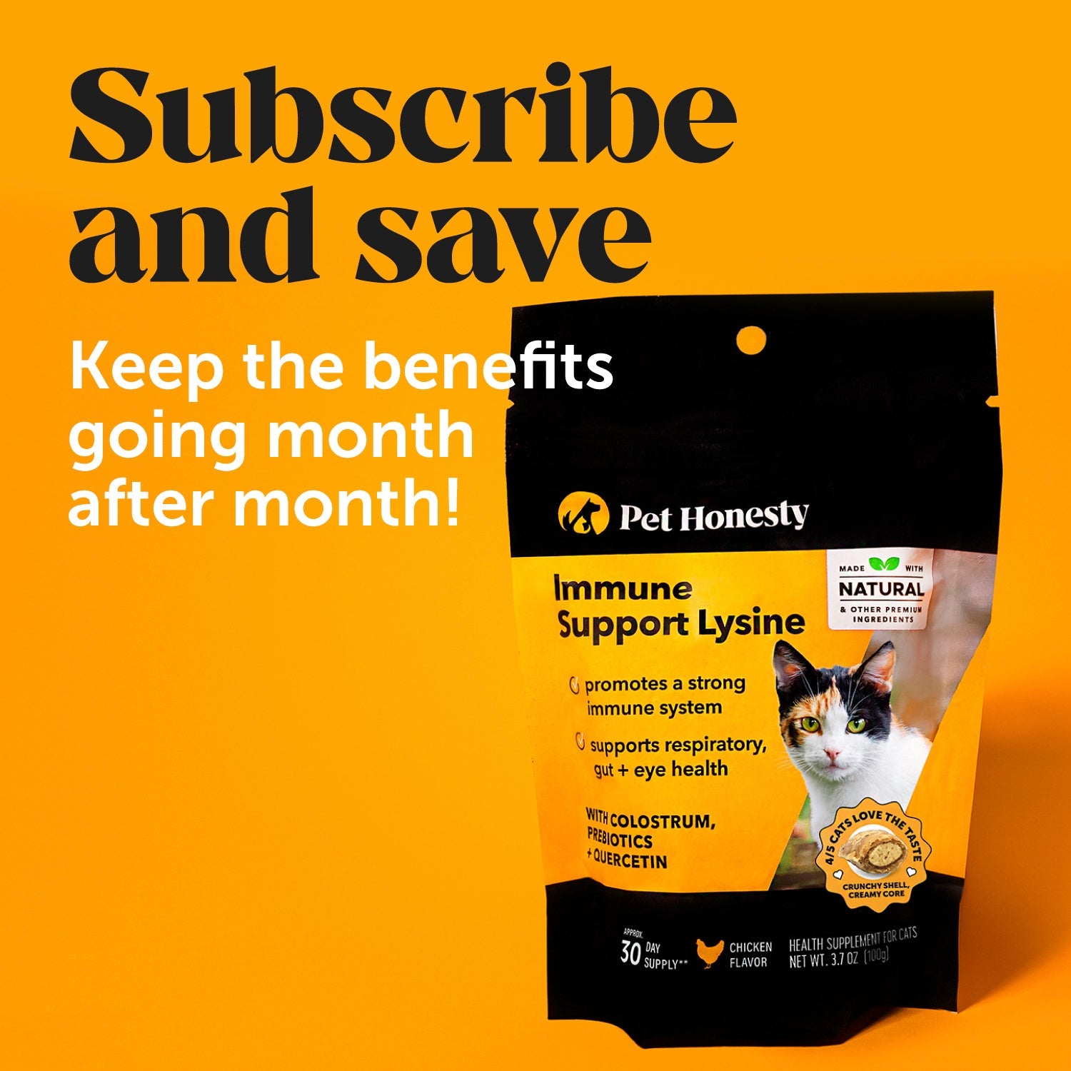 Cat Immune Support Lysine Single-Pack