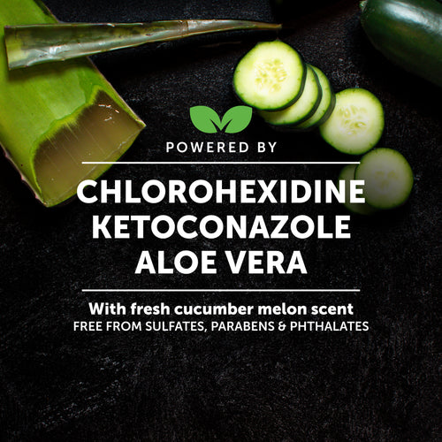 Chlorhexidine Shampoo (16 Ounce) PetHonesty