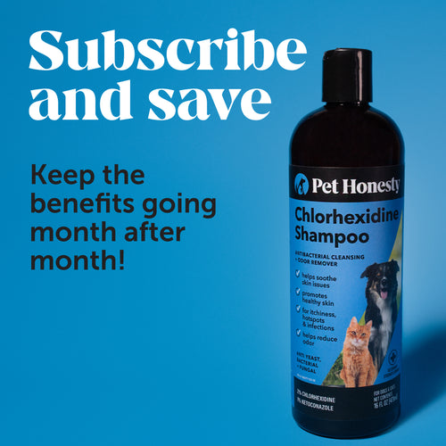 Chlorhexidine Shampoo (16 Ounce) PetHonesty