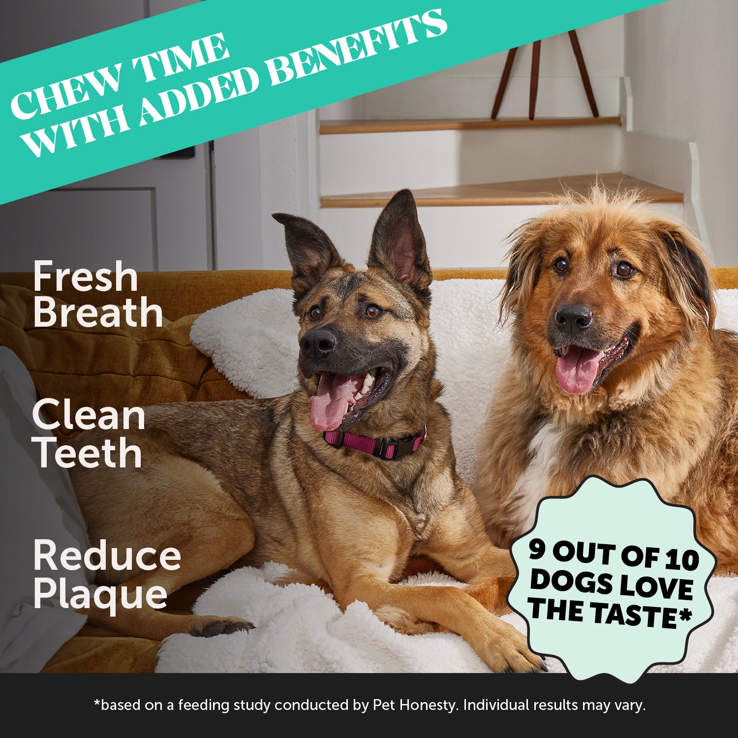 Dental Health Fresh Sticks 3-Pack (Mint Flavor)