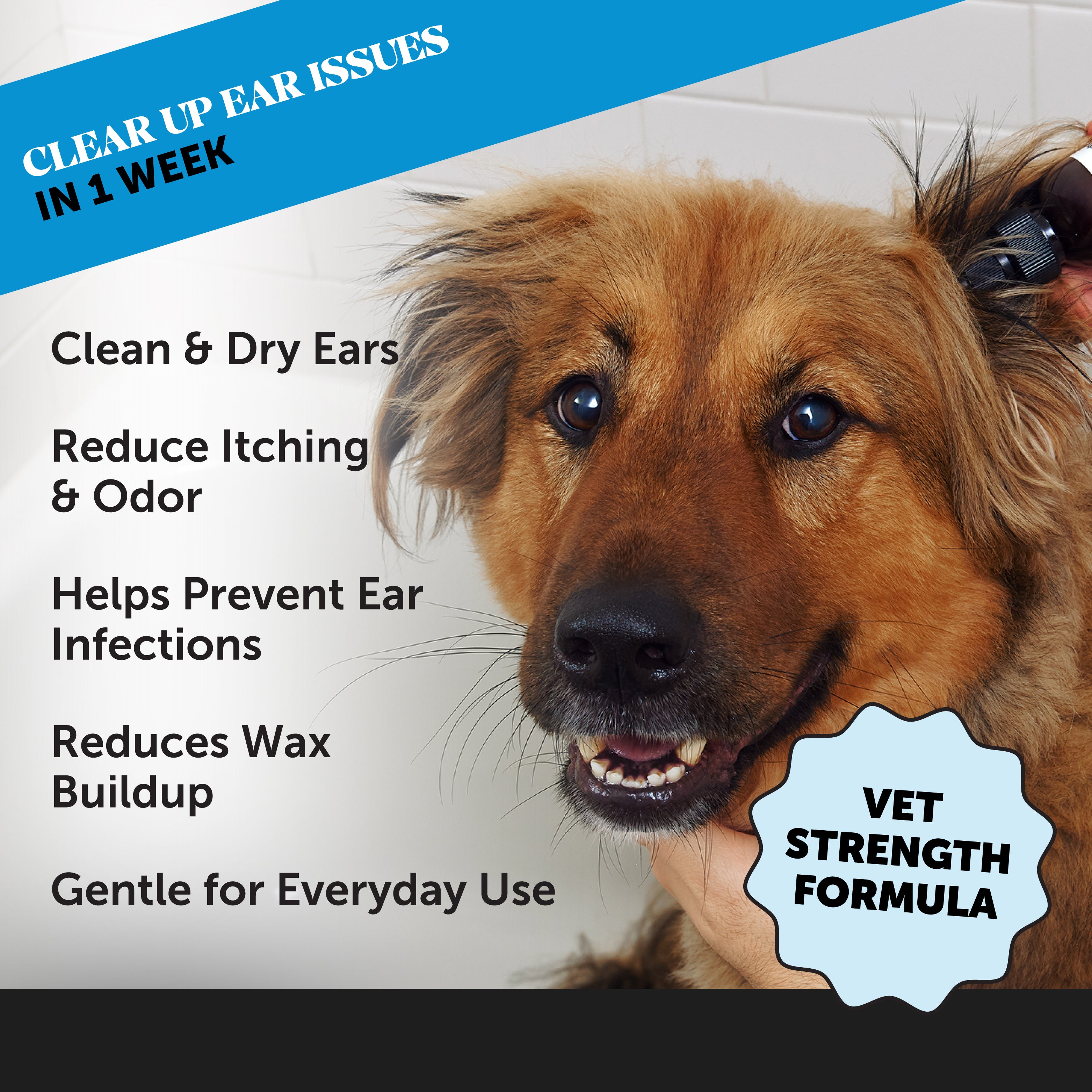 OTIC Ear Cleaner and Drier 3-Pack (24 Ounces) 3-Packs PetHonesty