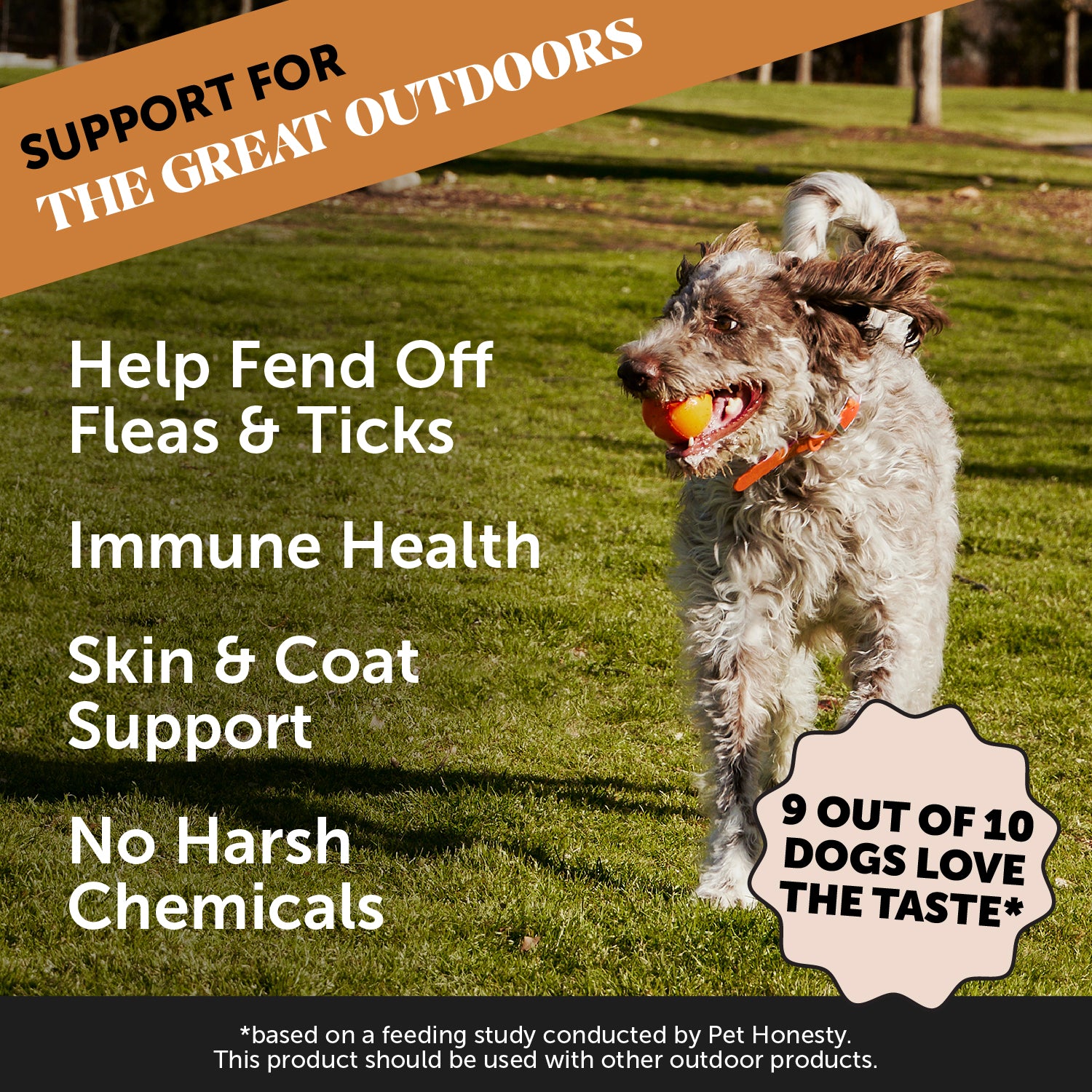 Flea + Tick Support 3-Pack (Bacon Flavor)