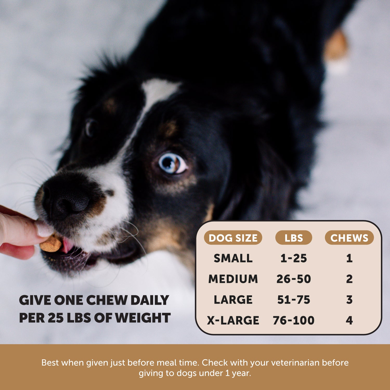 Flea & Tick Support 3-Pack PetHonesty
