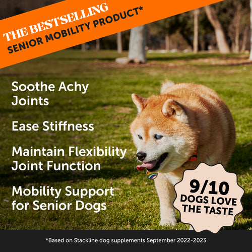 Hemp Hip + Joint Health Senior (Peanut Butter Flavor) PetHonesty