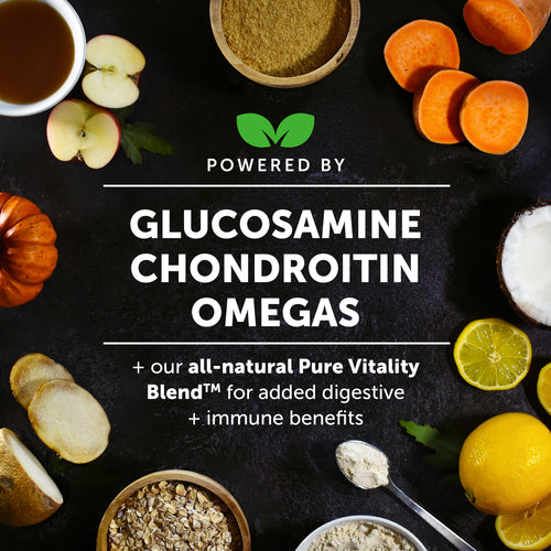 Hemp Hip + Joint Health Senior (Peanut Butter Flavor) PetHonesty