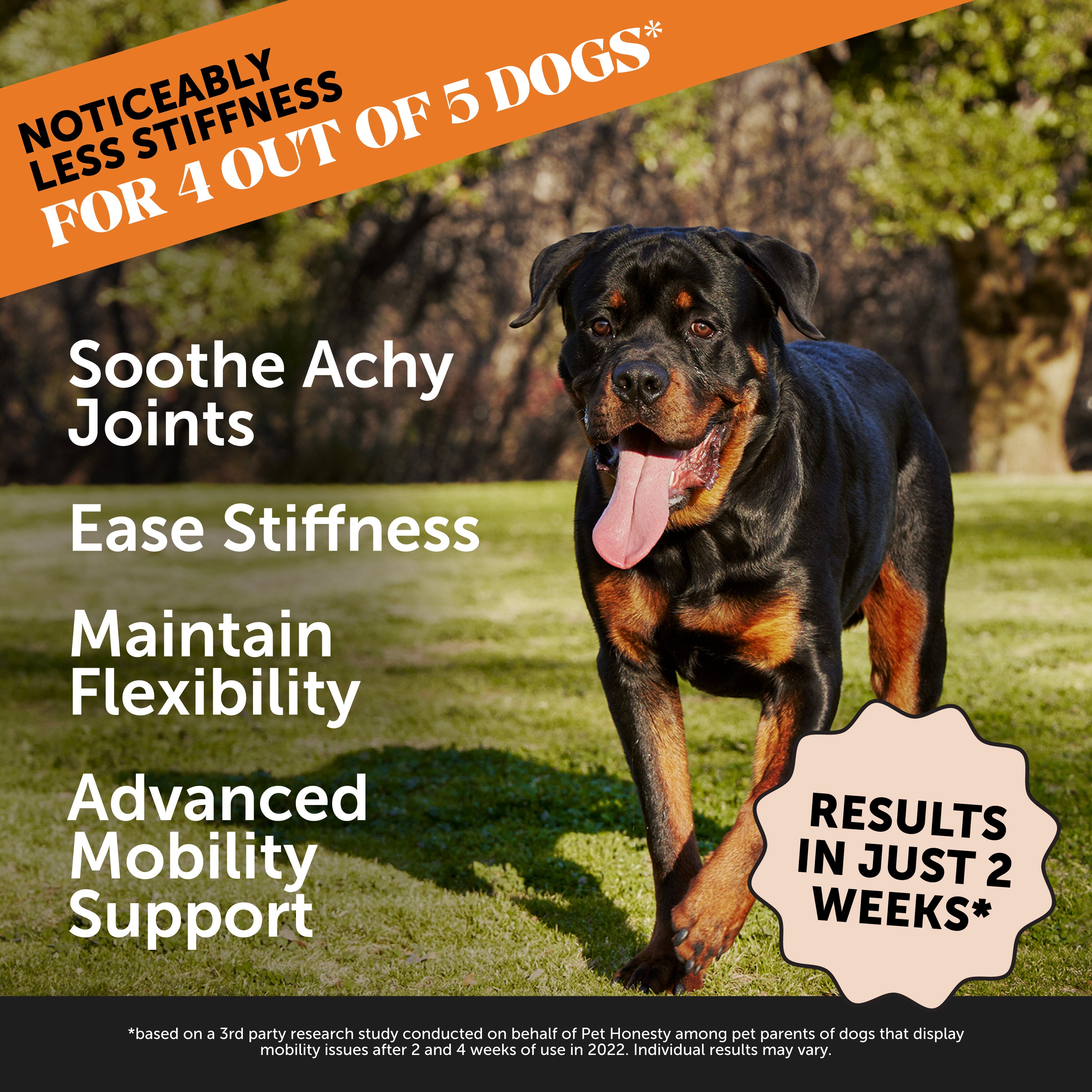 Hip + Joint Health Max Strength (Bacon Flavor) Single PetHonesty