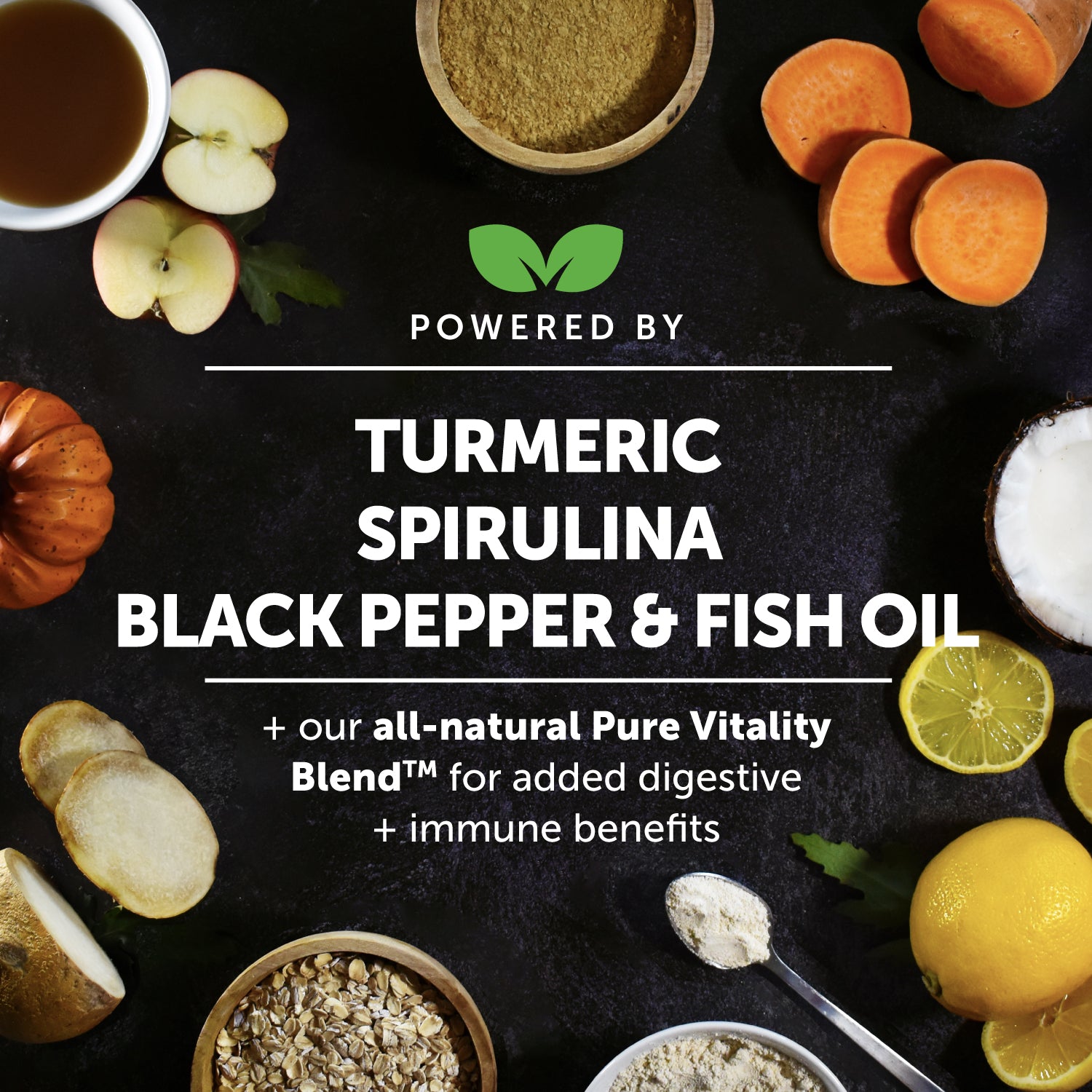 Hip + Joint Health Turmeric (Pumpkin Coconut Flavor) Single PetHonesty