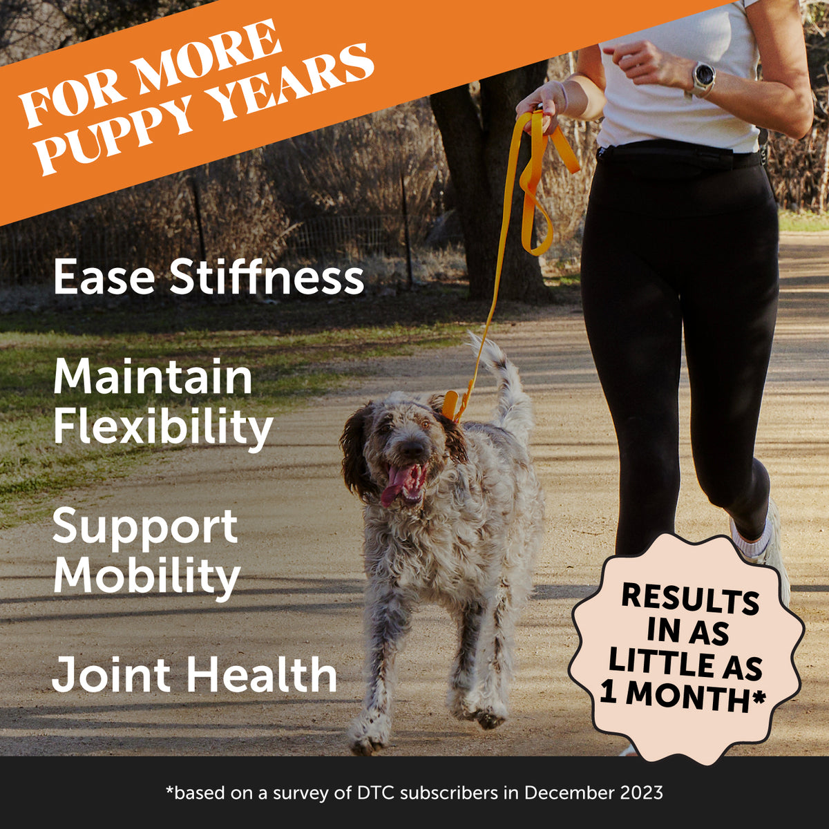 View of Hip & Joint Health Chews for Dogs (Chicken Flavor) | Pet Honesty