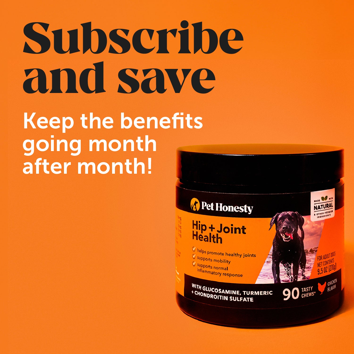 Hip + Joint Health Pack (Chicken Flavor)