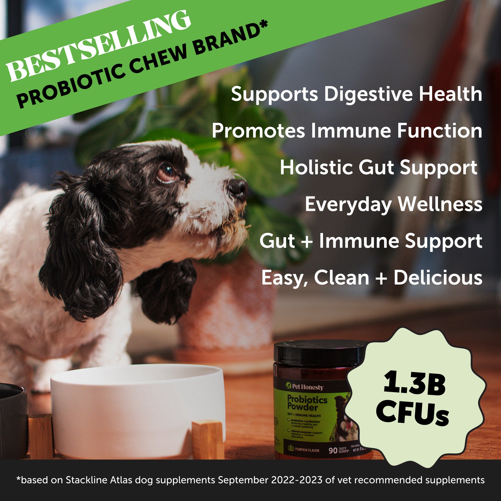 Probiotics Powder (90 Scoops) – Pet Honesty