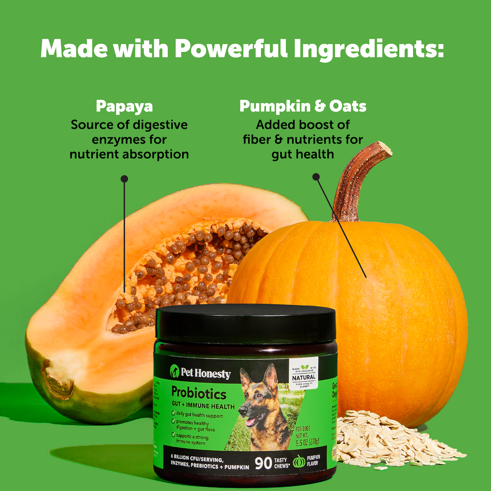Probiotics Gut Immune Health Pumpkin Flavor Pet Honesty