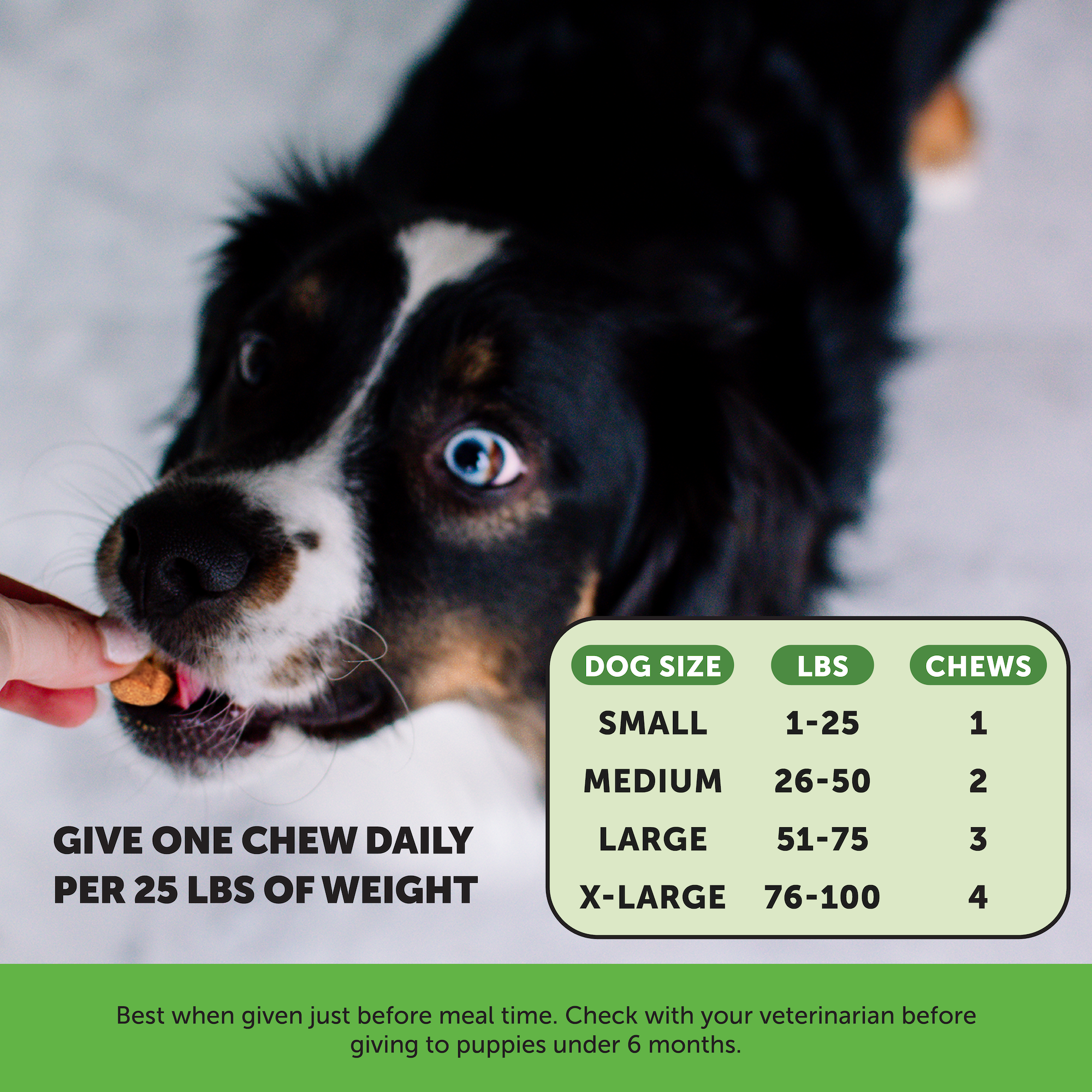 More Birthdays Bundle for Dogs - Dental, Multivitamin, Probiotic