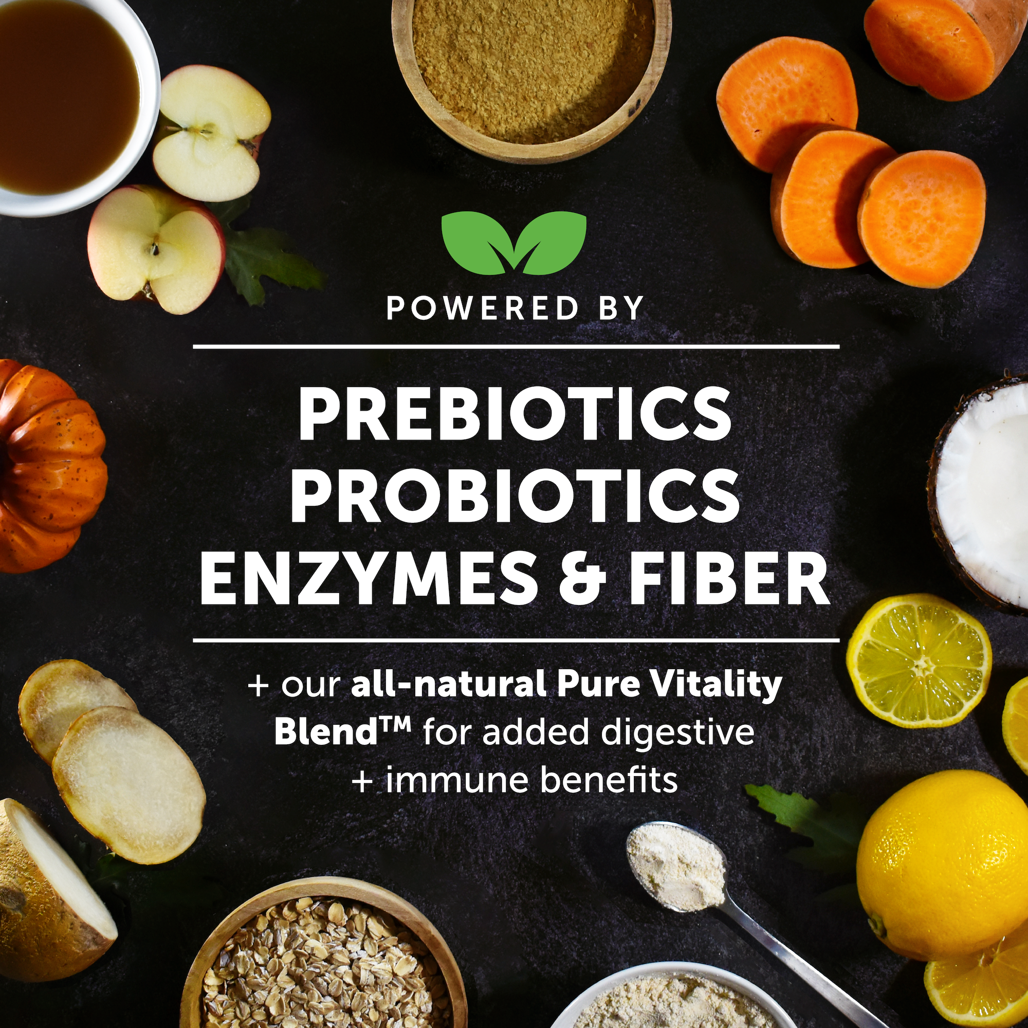 Digestive Probiotics (Pumpkin Flavor) Single PetHonesty