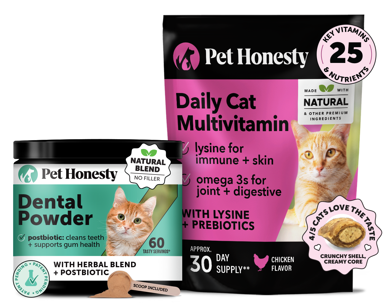 Cat Daily Essentials Bundle