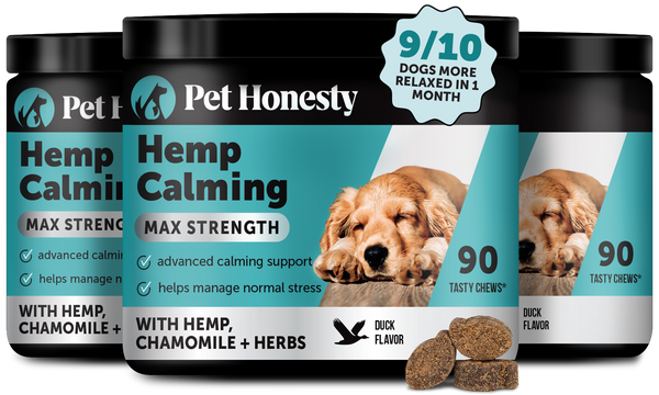 Duck Flavor Max Strength Hemp Calming Chews for Dogs (3 Pack