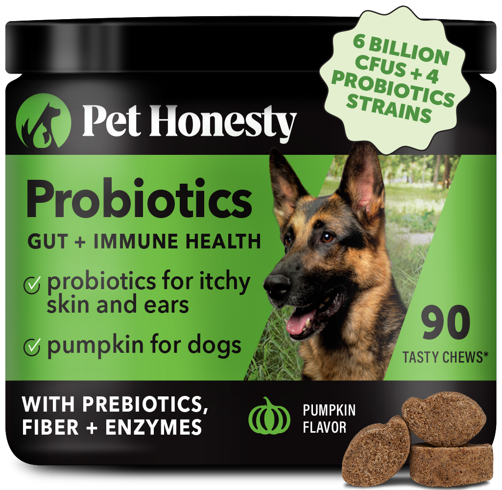 Probiotics Gut + Immune Health (Pumpkin Flavor)