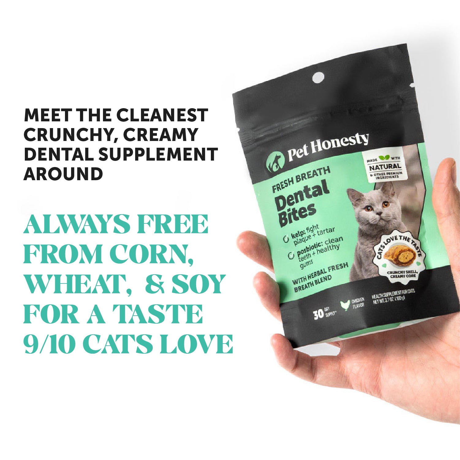 Dual-Texture Fresh Breath Dental Bites for Cats (Chicken Flavor) 10.5oz