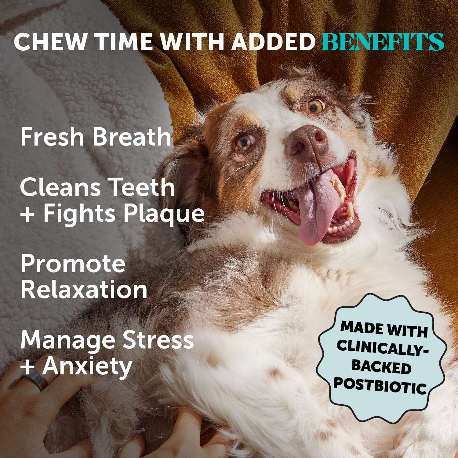 Hemp Calming Fresh Sticks for Dogs (Pumpkin Peanut Butter Flavor)