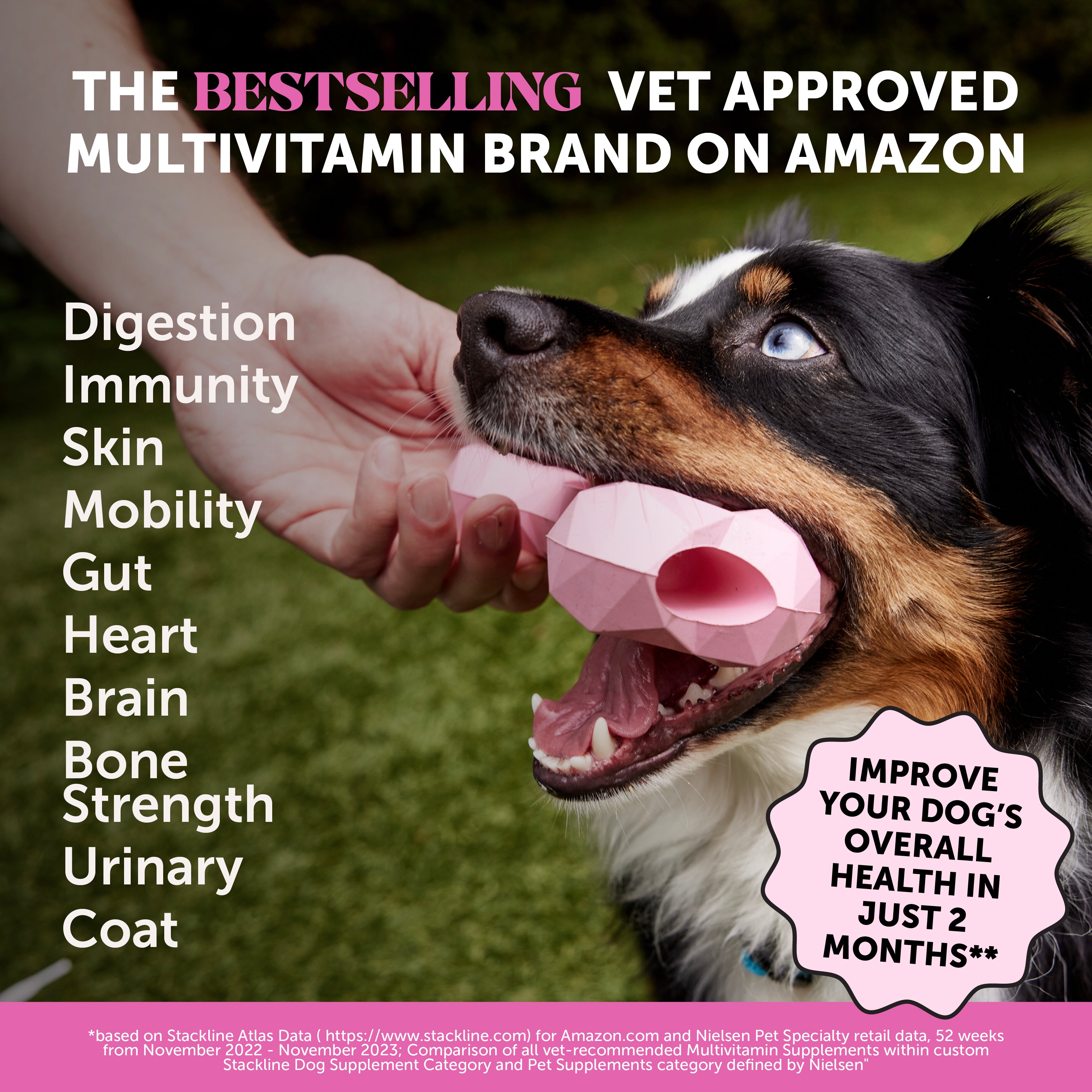 Multivitamin 10-in-1 Chews for Dogs (Chicken Flavor)