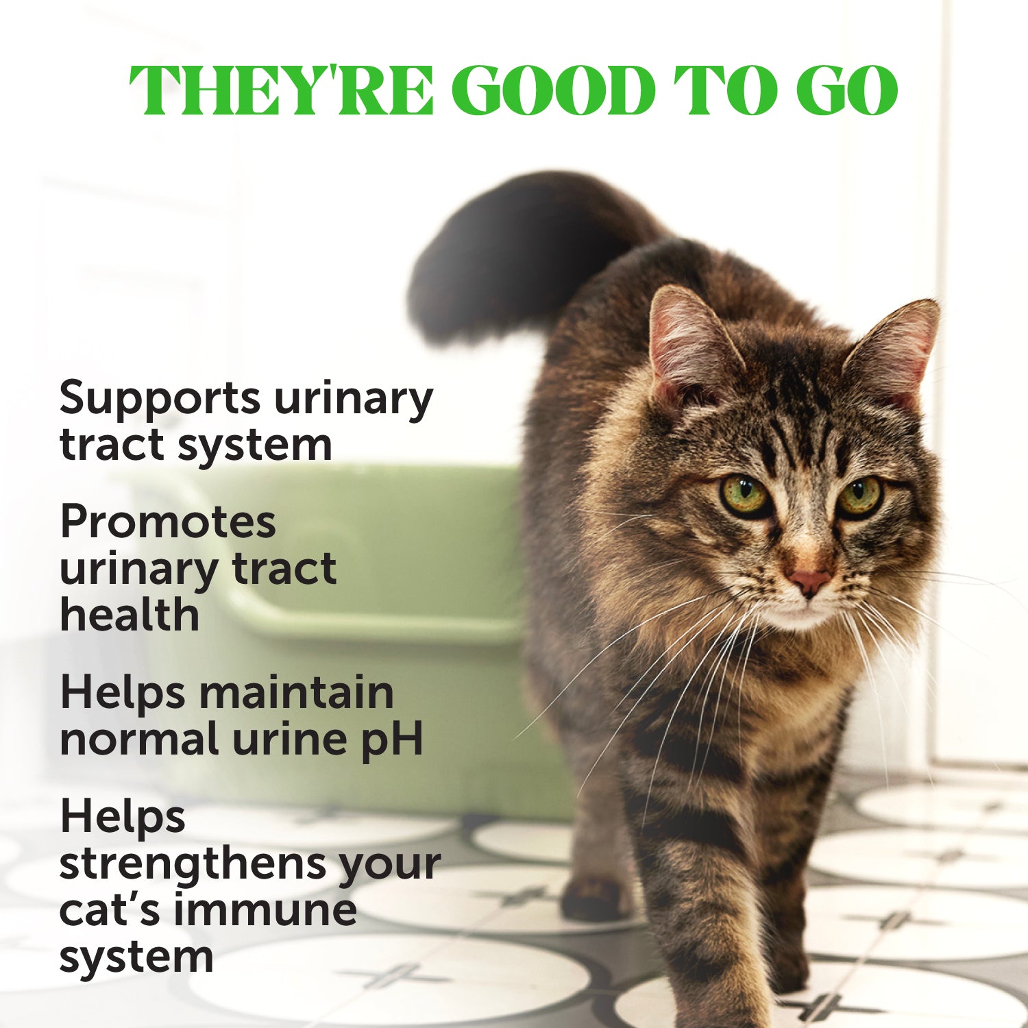 Dual Texture Urinary Tract Supplement for Cats 3-Pack (Chicken Flavor)