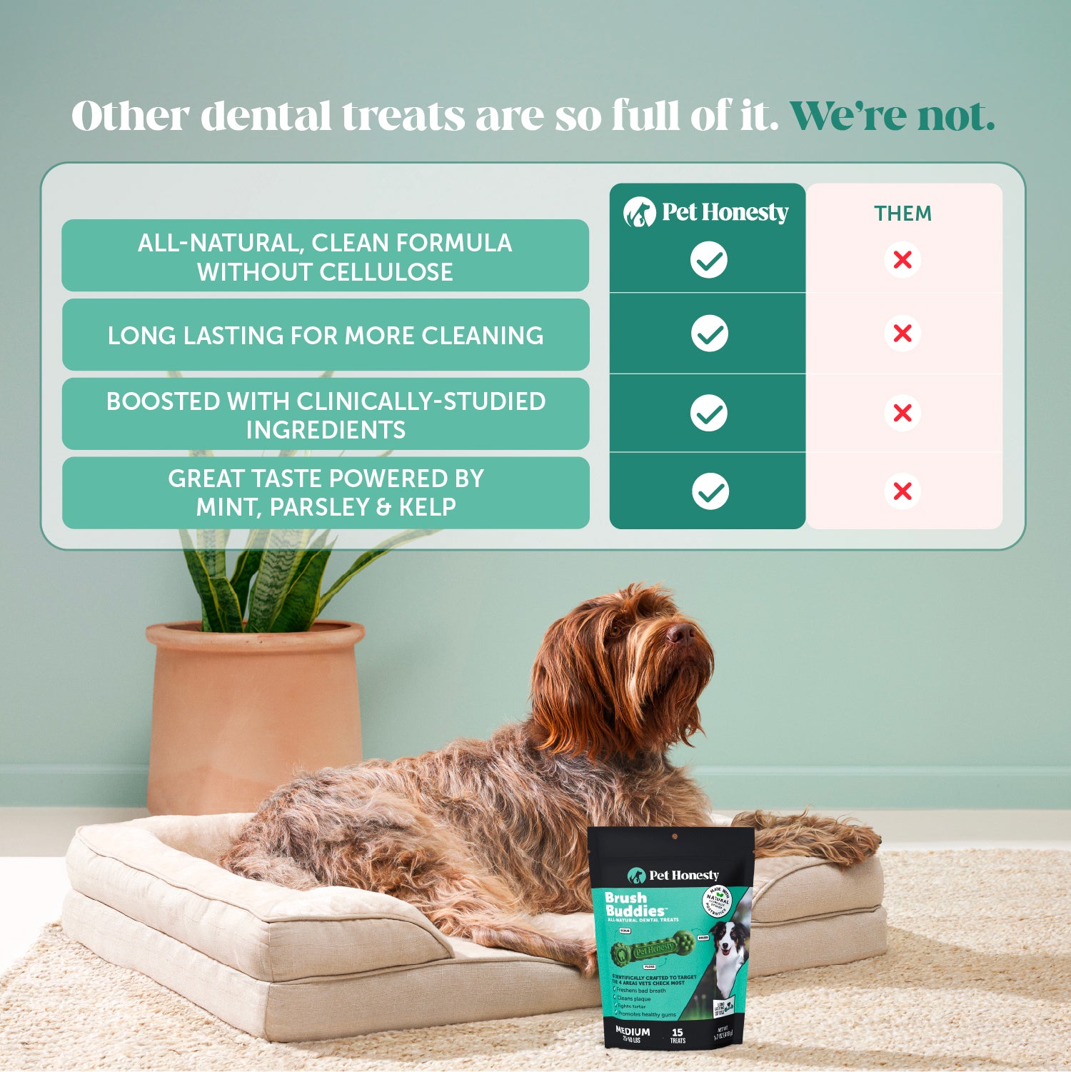 Brush Buddies All-Natural + Long Lasting Dental Treats for Medium Sized Dogs - 15 Count