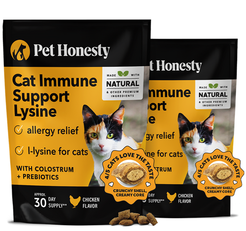 Cat Immune Support Lysine 2-Pack