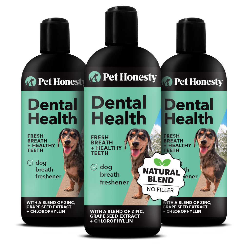 Oral Hygiene Dental Water 3-Pack (24 Ounces)
