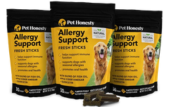 Allergy Support Fresh Sticks 3-Pack (Pumpkin Peanut Butter Flavor)